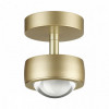 Светильник потолочный 4347/7CL Odeon Light Золото