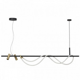 Светильник подвесной 4397/40L Odeon Light Черный