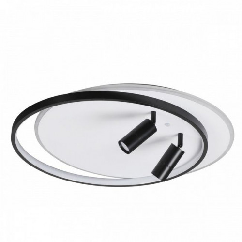 Светильник потолочный 5603/75CL Lumion Белый, черный