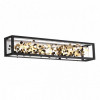 Светильник настенный 5065/23WL Odeon Light Матовый черный/золотой