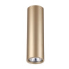 Светильник накладной 3828/1C Odeon Light Золотистый