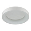 Светильник потолочный 4062/50CL Odeon Light Белый/серый