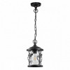Светильник подвесной 4963/1 Odeon Light Черный/стекло