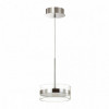 Светильник подвесной 4728/14L Odeon Light Хром/прозрачный