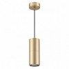 Светильник подвесной 3828/1 Odeon Light Золотистый