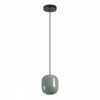 Светильник подвесной 5053/1C Odeon Light Черный/зеленый