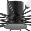Светильник потолочный 732207 Lightstar Черный матовый