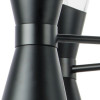 Светильник потолочный 817167 Lightstar Черный матовый
