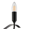 Светильник потолочный 733287 Lightstar Черный матовый