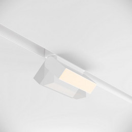 Светильник трековый TR013-2-10W3K-W Maytoni Белый