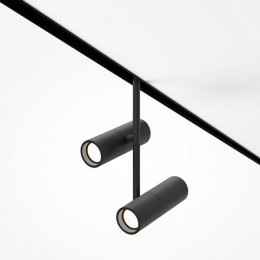 Светильник трековый TR005-2-2X12W3K-B Maytoni Черный