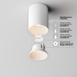 Светильник потолочный C064CL-8W2.7K-RD-WB Maytoni Бело-черный