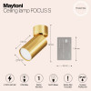 Светильник потолочный C050CL-U-1MG Maytoni Матовое Золото