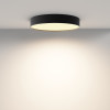 Светильник потолочный C032CL-45W2.7K-RD-B Maytoni Черный