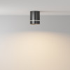 Светильник потолочный C085CL-9W3K-B Maytoni Черный