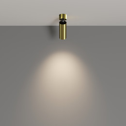 Светильник потолочный C055CL-L12W4K-W-BS Maytoni Латунь