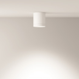 Светильник потолочный C086CM-GX53-MRD-W Maytoni Белый