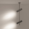 Светильник потолочный C021CL-02B Maytoni Черный