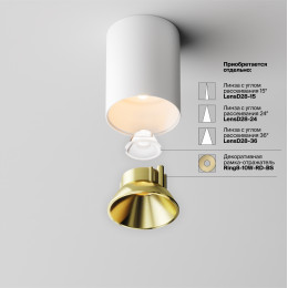 Светильник потолочный C064CL-8W2.7K-RD-WB Maytoni Бело-черный