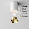 Светильник потолочный C064CL-8W3K-RD-WB Maytoni Бело-черный