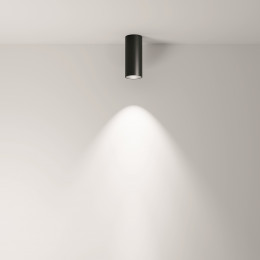 Светильник потолочный C056CL-L12B4K-W-D-B Maytoni Черный