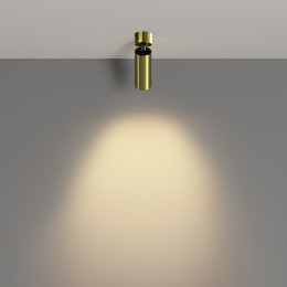 Светильник потолочный C055CL-L12W2.7K-W-BS Maytoni Латунь