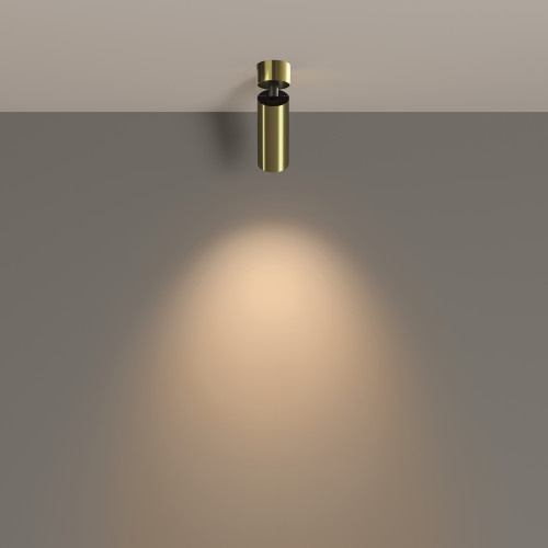 Светильник потолочный C055CL-L12W3K-W-BS Maytoni Латунь