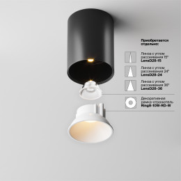 Светильник потолочный C064CL-8W2.7K-RD-B Maytoni Черный