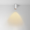 Светильник потолочный C056CL-L12W2.7K-W-W Maytoni Белый