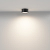 Светильник потолочный C032CL-12W3K-RD-B Maytoni Черный