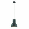 Светильник подвесной 3327/1 Odeon Light Черный