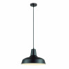 Светильник подвесной 3361/1 Odeon Light Черный