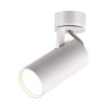 Светильник потолочный 3873/1C Odeon Light Белый