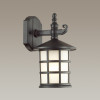 Светильник настенный 4042/1W Odeon Light Черный