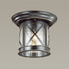 Светильник потолочный 4045/1C Odeon Light Черный