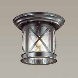 Светильник потолочный 4045/1C Odeon Light Черный