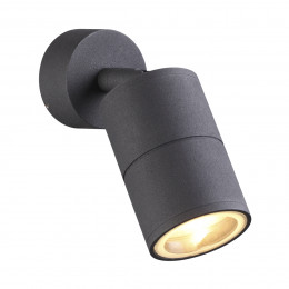 Светильник настенно-потолочный 4207/1C Odeon Light Черный