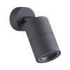 Светильник настенно-потолочный 4207/1C Odeon Light Черный