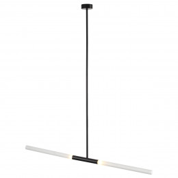 Светильник потолочный 4307/2 Odeon Light Черный