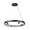 Светильник подвесной 4317/58L Odeon Light Черный