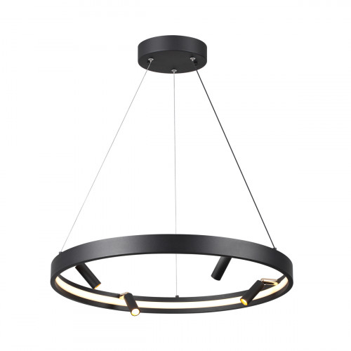 Светильник подвесной 4317/58L Odeon Light Черный