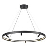Светильник подвесной 4317/93L Odeon Light Черный