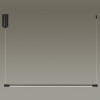 Светильник подвесной 4335/9L Odeon Light Черный