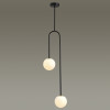 Светильник потолочный 4340/2 Odeon Light Черный