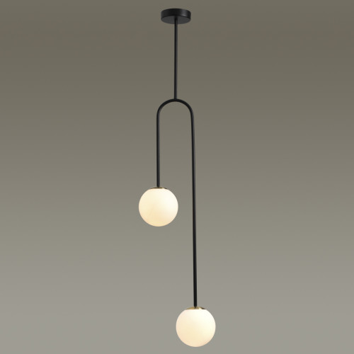 Светильник потолочный 4340/2 Odeon Light Черный