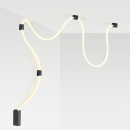 Светильник настенно-потолочный 4391/30CL Odeon Light Черный