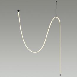 Светильник потолочный 4391/40CL Odeon Light Черный