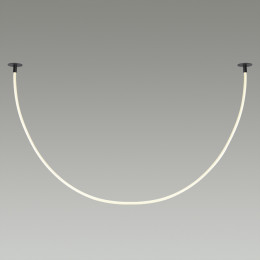 Светильник потолочный 4391/40CL Odeon Light Черный