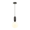 Светильник подвесной 4668/1 Odeon Light Черный