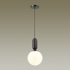 Светильник подвесной 4668/1 Odeon Light Черный